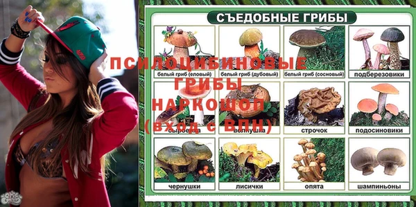 ALPHA-PVP Богородск