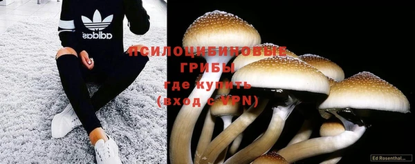 амфетамин Богородицк